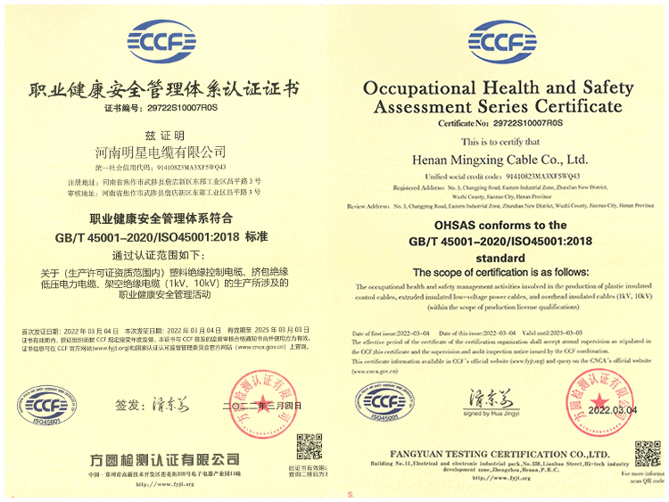 20222022职业健康体系证书