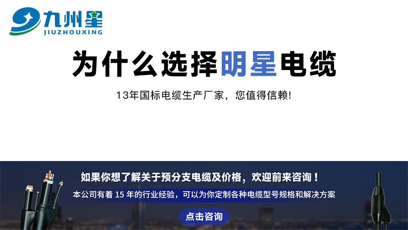 预分支电缆相比其他电缆有什么优势